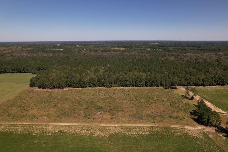 Evergreen, NC 39.7 acres Land and Farms Realty